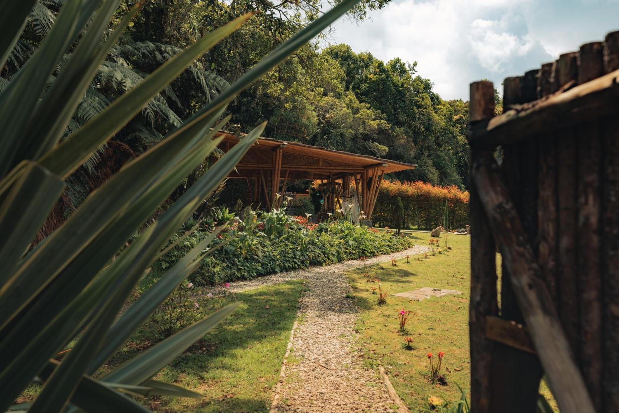 Bubblesky Glamping 15 Min From Medellin Rionegro Exterior foto