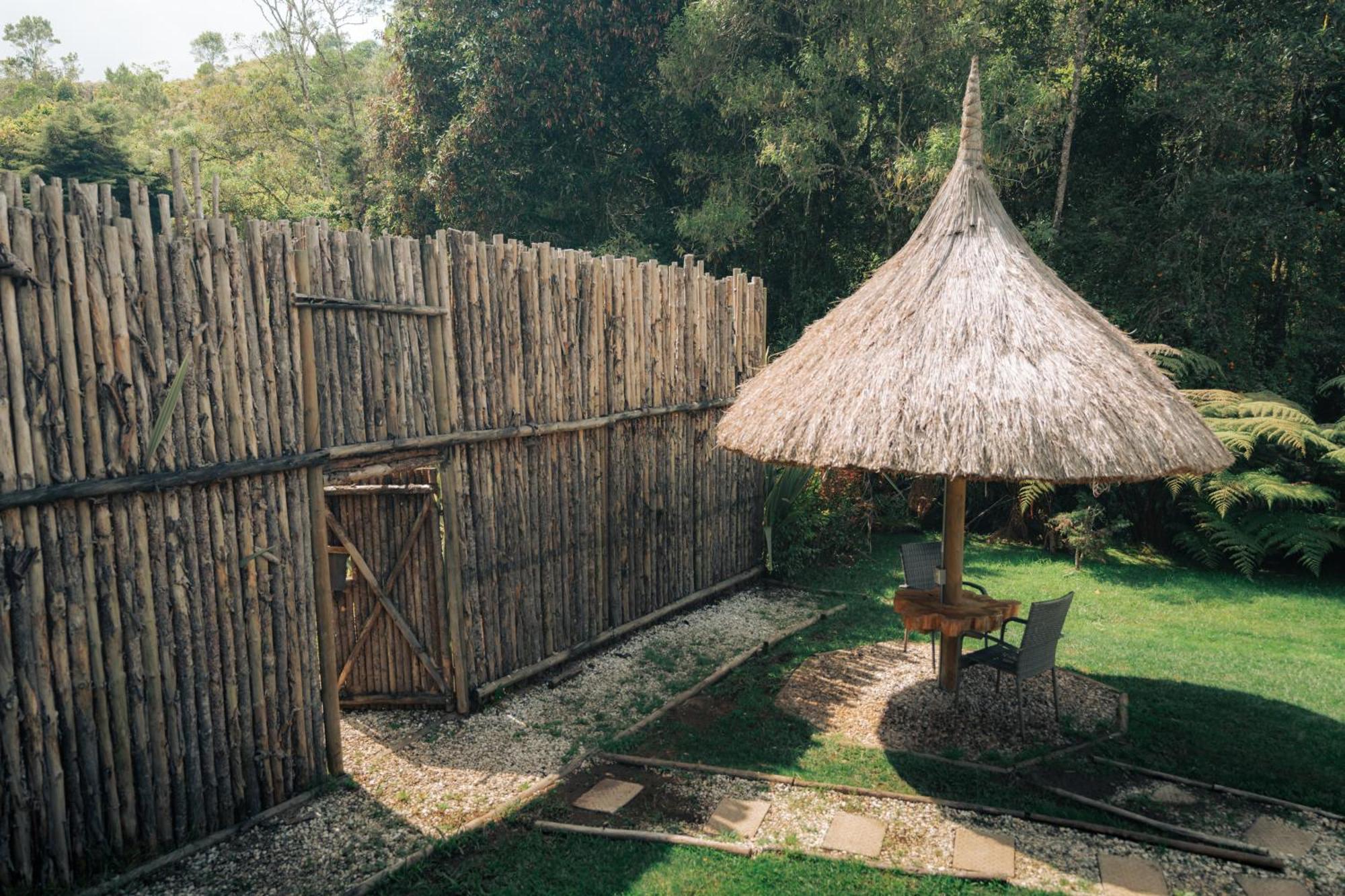 Bubblesky Glamping 15 Min From Medellin Rionegro Exterior foto
