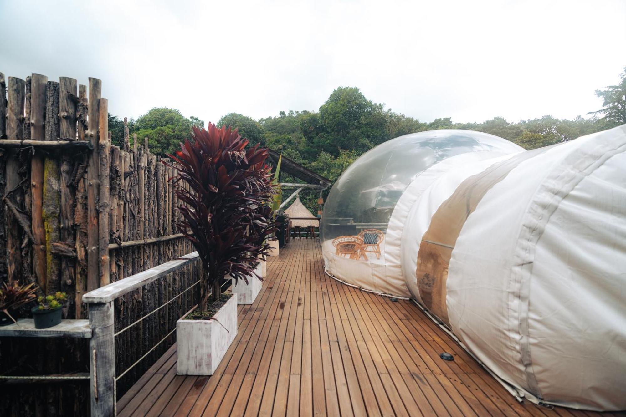 Bubblesky Glamping 15 Min From Medellin Rionegro Exterior foto