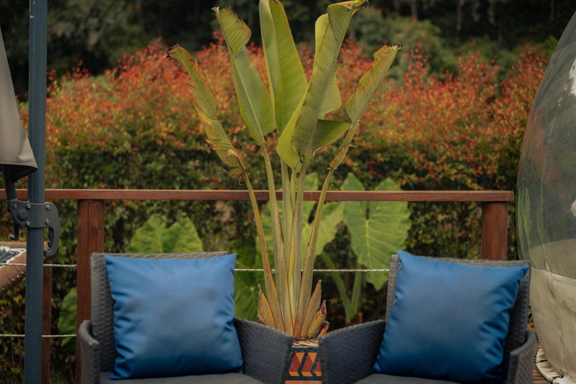 Bubblesky Glamping 15 Min From Medellin Rionegro Exterior foto